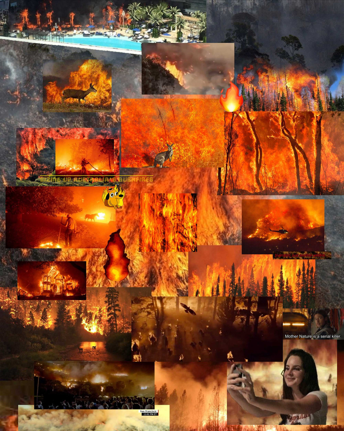 Wildfire - Digital Print