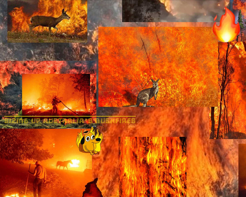 Wildfire - Digital Print