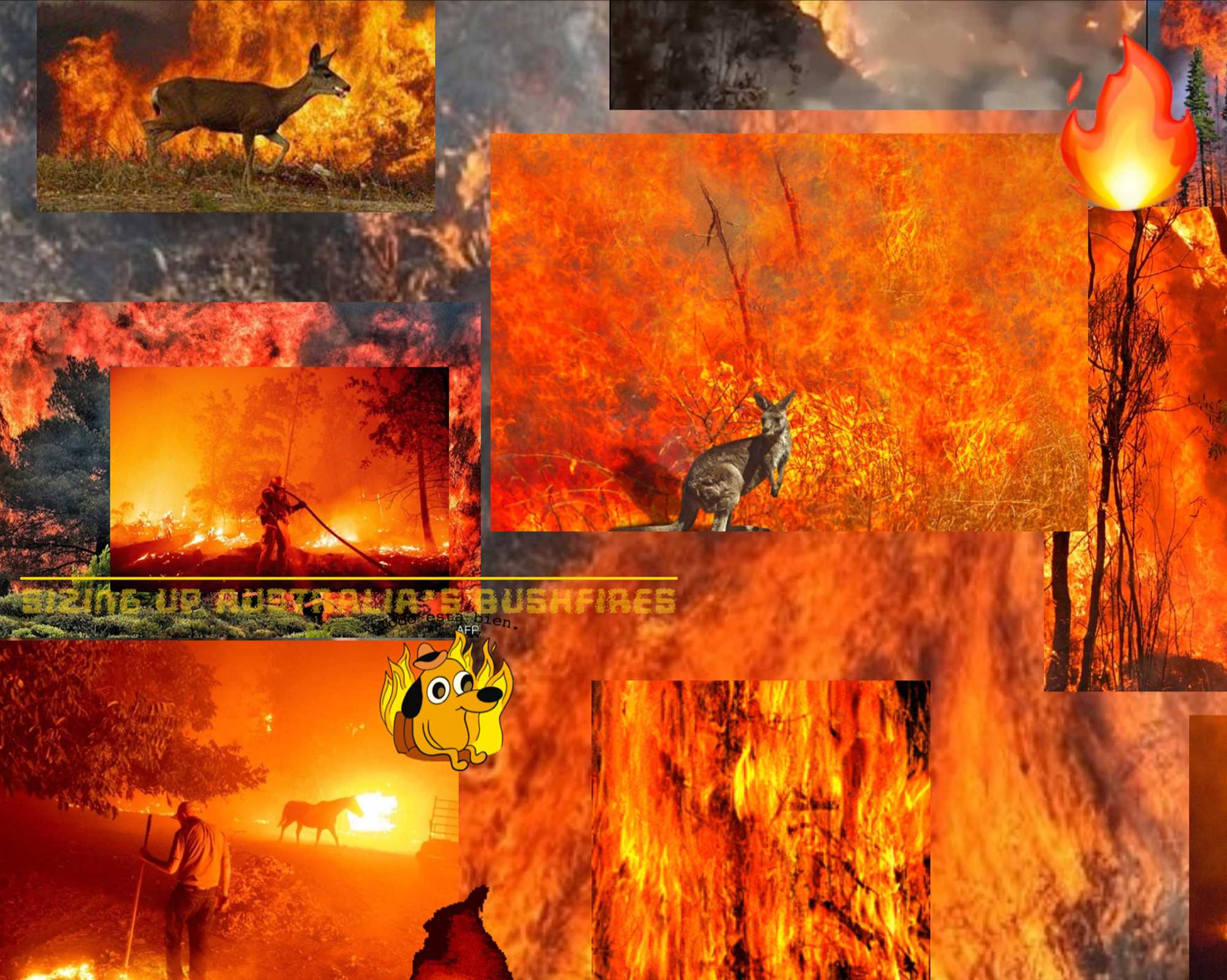 Wildfire - Digital Print